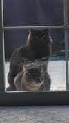 KOBE #1679 - Offered by Owner - Indoor/outdoor