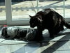 KOBE #1679 - Offered by Owner - Indoor/outdoor