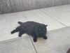 KOBE #1679 - Offered by Owner - Indoor/outdoor