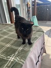 KOBE #1679 - Offered by Owner - Indoor/outdoor