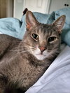 OLIVER #1681 - Offered by Owner