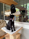 ROXY & MERCEDES - Twice the Sister Fun!