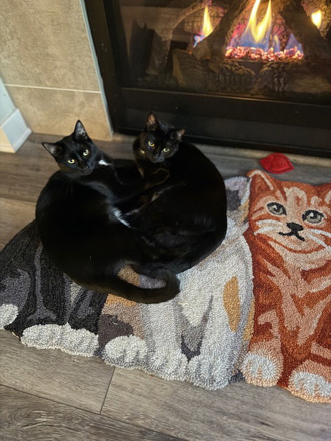 MERCY & ROXY - Twice the Sister Fun! Image