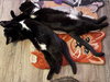 MERCY & ROXY - Twice the Sister Fun! - Photo 2