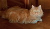 RORY #1704 - Offered by Owner - Great with kids!