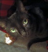 HOPE #1710 - Offered by Owner