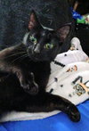 HOPE #1710 - Offered by Owner