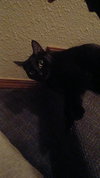 HOPE #1710 - Offered by Owner