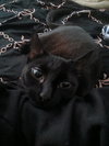 HOPE #1710 - Offered by Owner