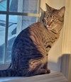Meadow & Maureen #1711 Offered by Owner - Sisters - Photo 2