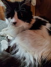 PENNY #1714 - Offered by Owner - Pretty Senior