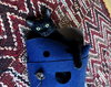 LITTLE BIT #1718 - Offered by Owner - Young Female