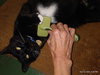 OREO #1731 - Offered by Owner - indoor/outdoor
