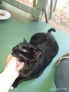 OREO #1731 - Offered by Owner - indoor/outdoor