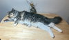 MINKA #1733 - Offered by Owner - Young gal