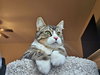 OLIVER - Offered by Owner