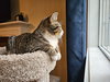 OLIVER - Offered by Owner