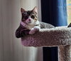 OLIVER - Offered by Owner