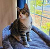 OLIVER - Offered by Owner