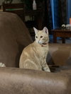 TANGO #1738 - Offered by Owner - Young and Active