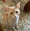 TANGO #1738 - Offered by Owner - Young and Active
