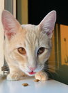 TANGO #1738 - Offered by Owner - Young and Active