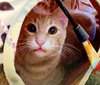 TANGO #1738 - Offered by Owner - Young and Active