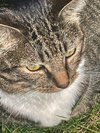 GEMMA #1736 -  Offered by Owner - Indoor/outdoor
