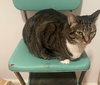 GEMMA #1736 -  Offered by Owner - Indoor/outdoor
