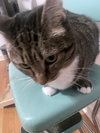 GEMMA #1736 -  Offered by Owner - Indoor/outdoor
