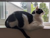 TESS #1742 - Offered by Owner - Senior