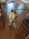 TESS #1742 - Offered by Owner - Senior