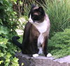 POPPY #1758 - Offered by Owner