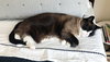 POPPY #1758 - Offered by Owner