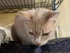 SUNNY GIRL #1756- Offered by Owner - Teen