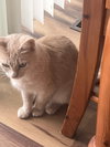 SUNNY GIRL #1756- Offered by Owner - Teen