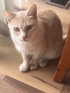 SUNNY GIRL #1756- Offered by Owner - Teen