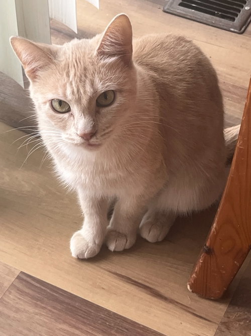 SUNNY GIRL #1756- Offered by Owner - Teen