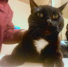 WRINKLE #1767- Offered by Owner - Friendly Male