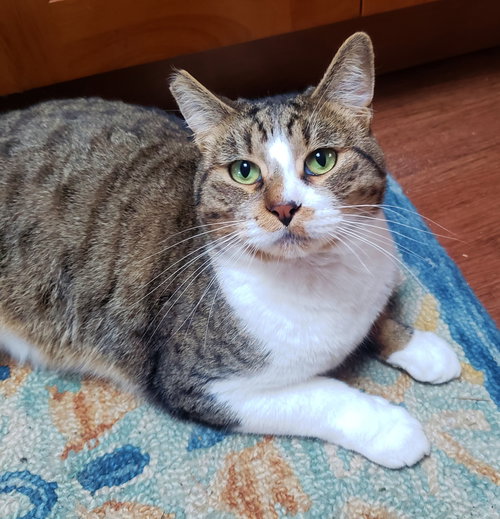 TONY #1768 - Offered by Owner - Young in/out