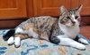 TONY #1768 - Offered by Owner - Young in/out