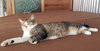 TONY #1768 - Offered by Owner - Young in/out