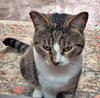 TONY #1768 - Offered by Owner - Young in/out