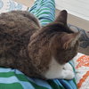 TONY #1768 - Offered by Owner - Young in/out