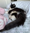 STUMBLE - Offered by Owner - Special Needs