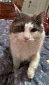 PIPPA  #1771 - Offered by Owner