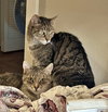 ROSE & LEFTY #1777-Offered by Owner-Bonded Seniors