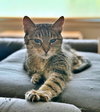 ROSE & LEFTY #1777-Offered by Owner-Bonded Seniors