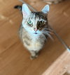 ROSE & LEFTY #1777-Offered by Owner-Bonded Seniors