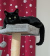 WILLOW #1778 - Offered by Owner -